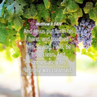 Picture 04 - Matthew 8:3 KJV - And Jesus put forth his hand, and touched him, - Bible Verse Picture