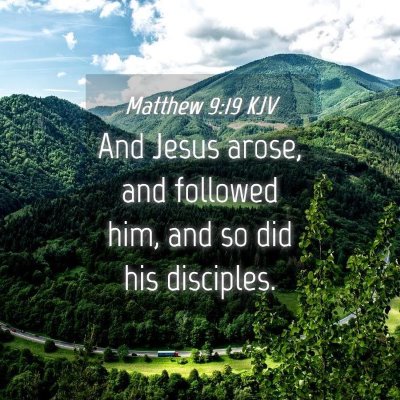 Picture 04 - Matthew 9:19 KJV - And Jesus arose, and followed him, and so did his - Bible Verse Picture