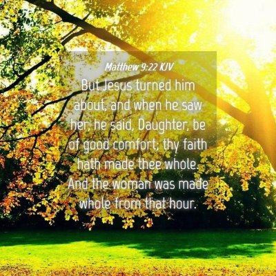 Picture 04 - Matthew 9:22 KJV - But Jesus turned him about, and when he saw her, - Bible Verse Picture