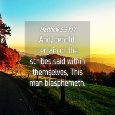 Picture 04 - Matthew 9:3 KJV - And, behold, certain of the scribes said within - Bible Verse Picture