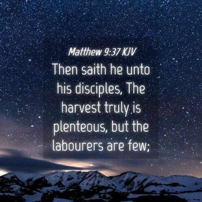 Picture 04 - Matthew 9:37 KJV - Then saith he unto his disciples, The harvest - Bible Verse Picture