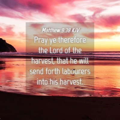 Picture 04 - Matthew 9:38 KJV - Pray ye therefore the Lord of the harvest, that - Bible Verse Picture