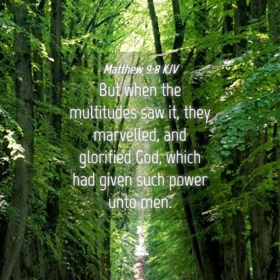 Picture 04 - Matthew 9:8 KJV - But when the multitudes saw it, they marvelled, - Bible Verse Picture