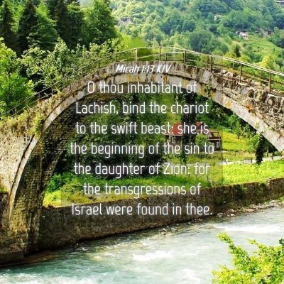 Picture 04 - Micah 1:13 KJV - O thou inhabitant of Lachish, bind the chariot to - Bible Verse Picture