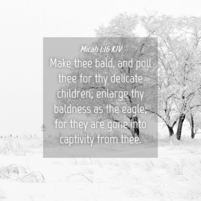 Picture 04 - Micah 1:16 KJV - Make thee bald, and poll thee for thy delicate - Bible Verse Picture