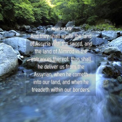 Picture 04 - Micah 5:6 KJV - And they shall waste the land of Assyria with the - Bible Verse Picture