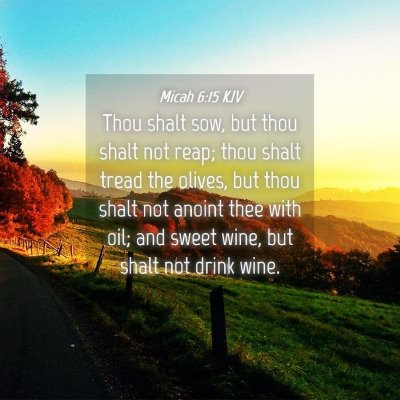 Picture 04 - Micah 6:15 KJV - Thou shalt sow, but thou shalt not reap; thou - Bible Verse Picture
