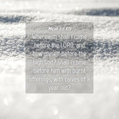 Picture 04 - Micah 6:6 KJV - Wherewith shall I come before the LORD, and bow - Bible Verse Picture