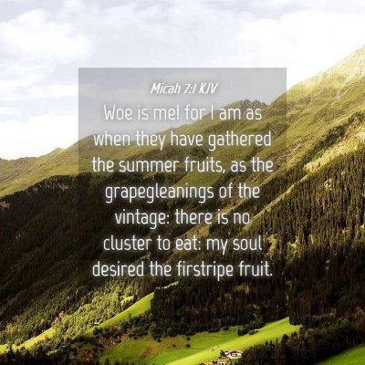 Picture 04 - Micah 7:1 KJV - Woe is me! for I am as when they have gathered - Bible Verse Picture
