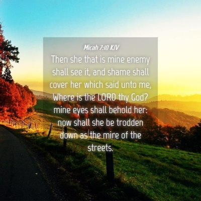 Picture 04 - Micah 7:10 KJV - Then she that is mine enemy shall see it, and - Bible Verse Picture