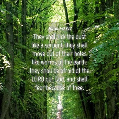 Picture 04 - Micah 7:17 KJV - They shall lick the dust like a serpent, they - Bible Verse Picture