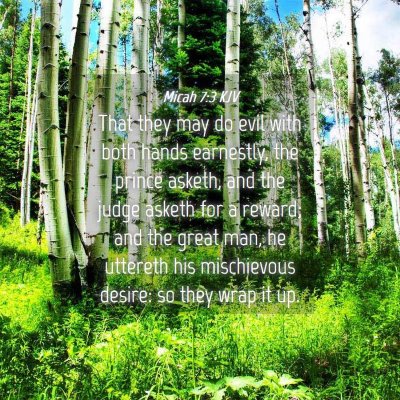 Picture 04 - Micah 7:3 KJV - That they may do evil with both hands earnestly, - Bible Verse Picture