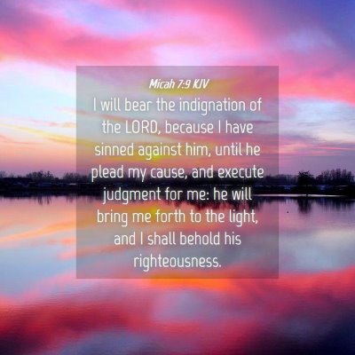 Picture 04 - Micah 7:9 KJV - I will bear the indignation of the LORD, because - Bible Verse Picture