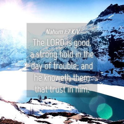 Picture 04 - Nahum 1:7 KJV - The LORD is good, a strong hold in the day of - Bible Verse Picture