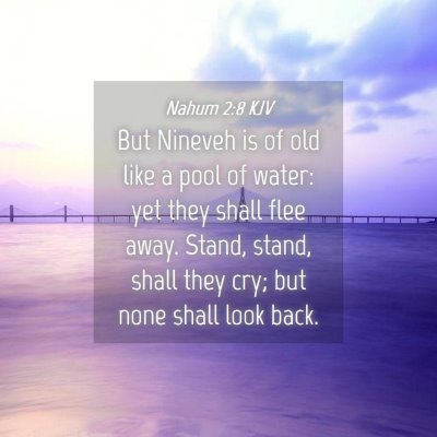 Picture 04 - Nahum 2:8 KJV - But Nineveh is of old like a pool of water: yet - Bible Verse Picture