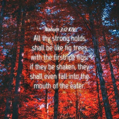 Picture 04 - Nahum 3:12 KJV - All thy strong holds shall be like fig trees with - Bible Verse Picture