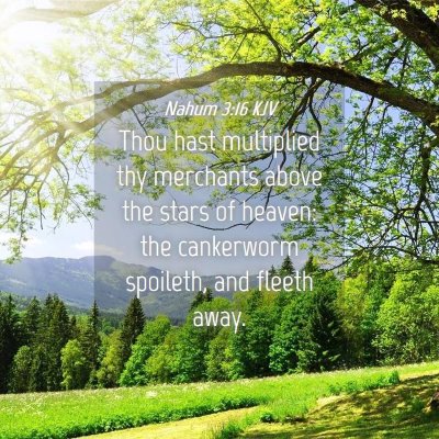 Picture 04 - Nahum 3:16 KJV - Thou hast multiplied thy merchants above the - Bible Verse Picture