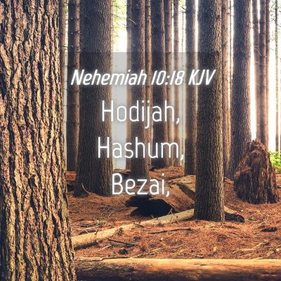 Picture 04 - Nehemiah 10:18 KJV - Hodijah, Hashum, - Bible Verse Picture