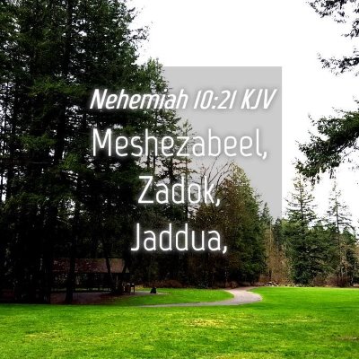 Picture 04 - Nehemiah 10:21 KJV - Meshezabeel, Zadok, - Bible Verse Picture