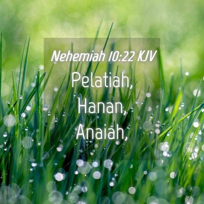 Picture 04 - Nehemiah 10:22 KJV - Pelatiah, Hanan, - Bible Verse Picture