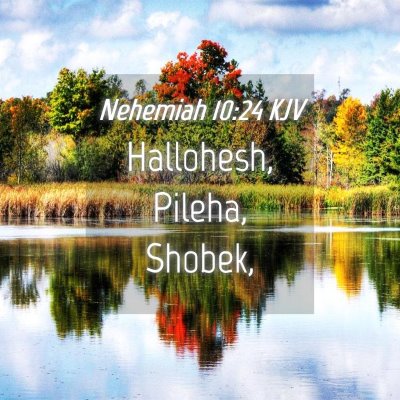 Picture 04 - Nehemiah 10:24 KJV - Hallohesh, Pileha, - Bible Verse Picture