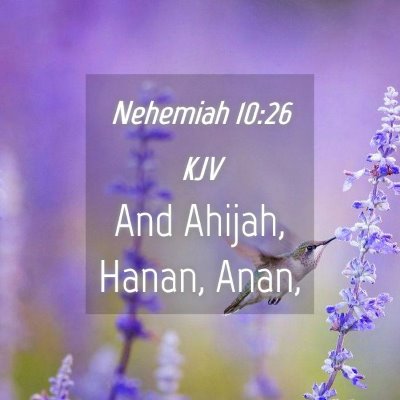 Picture 04 - Nehemiah 10:26 KJV - And Ahijah, Hanan, - Bible Verse Picture