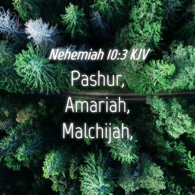 Picture 04 - Nehemiah 10:3 KJV - Pashur, Amariah, - Bible Verse Picture