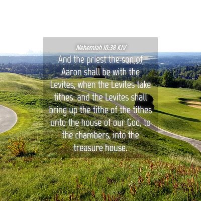 Picture 04 - Nehemiah 10:38 KJV - And the priest the son of Aaron shall be with the - Bible Verse Picture