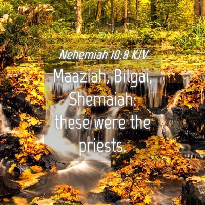 Picture 04 - Nehemiah 10:8 KJV - Maaziah, Bilgai, Shemaiah: these were the - Bible Verse Picture