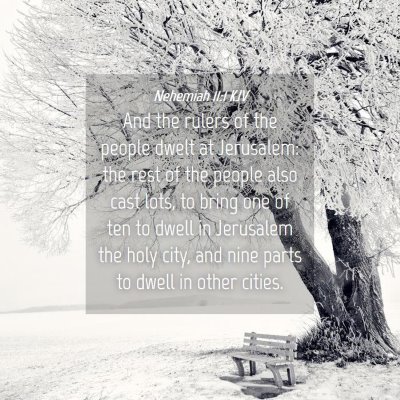 Picture 04 - Nehemiah 11:1 KJV - And the rulers of the people dwelt at Jerusalem: - Bible Verse Picture