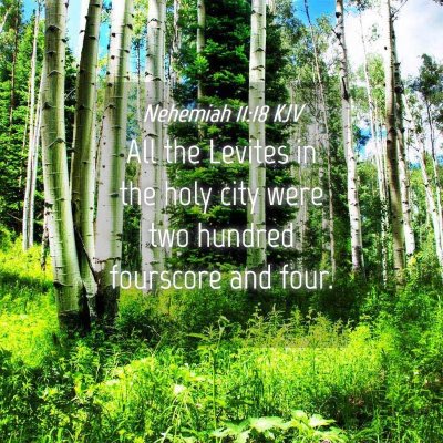 Picture 04 - Nehemiah 11:18 KJV - All the Levites in the holy city were two hundred - Bible Verse Picture