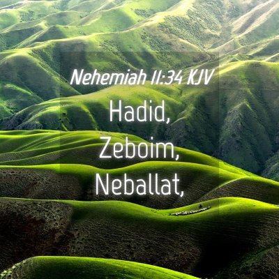 Picture 04 - Nehemiah 11:34 KJV - Hadid, Zeboim, - Bible Verse Picture