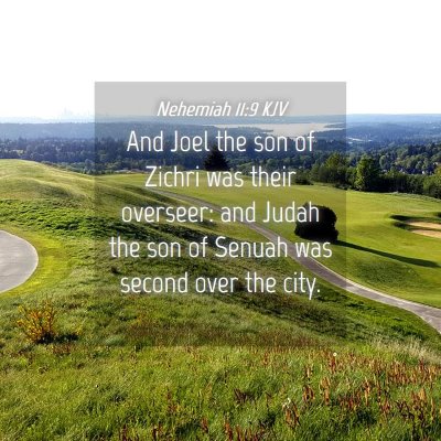 Picture 04 - Nehemiah 11:9 KJV - And Joel the son of Zichri was their overseer: - Bible Verse Picture