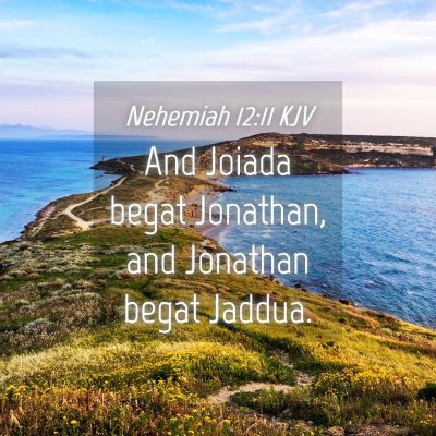 Picture 04 - Nehemiah 12:11 KJV - And Joiada begat Jonathan, and Jonathan begat - Bible Verse Picture