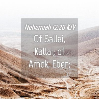 Picture 04 - Nehemiah 12:20 KJV - Of Sallai, Kallai; of Amok, - Bible Verse Picture