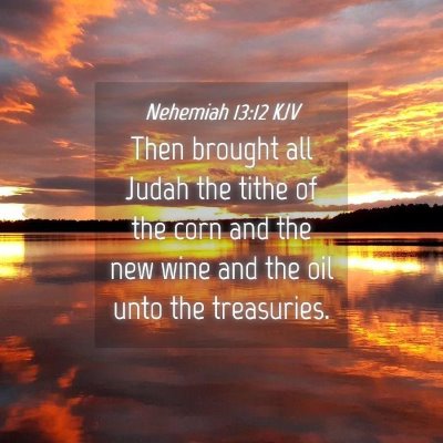 Picture 04 - Nehemiah 13:12 KJV - Then brought all Judah the tithe of the corn and - Bible Verse Picture