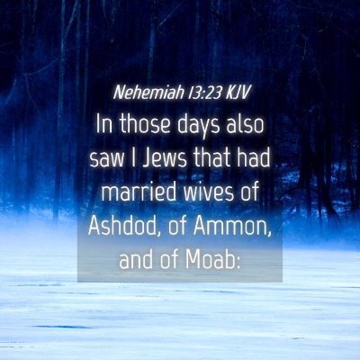 Picture 04 - Nehemiah 13:23 KJV - In those days also saw I Jews that had married - Bible Verse Picture