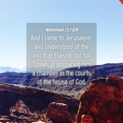 Picture 04 - Nehemiah 13:7 KJV - And I came to Jerusalem, and understood of the - Bible Verse Picture