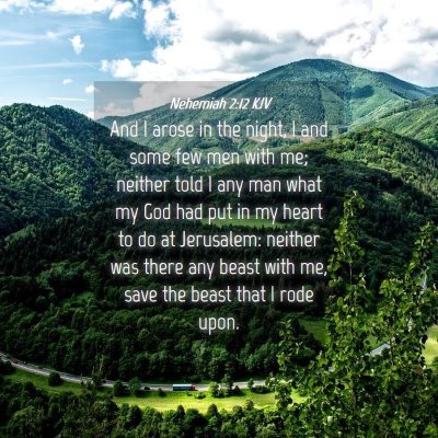 Picture 04 - Nehemiah 2:12 KJV - And I arose in the night, I and some few men with - Bible Verse Picture