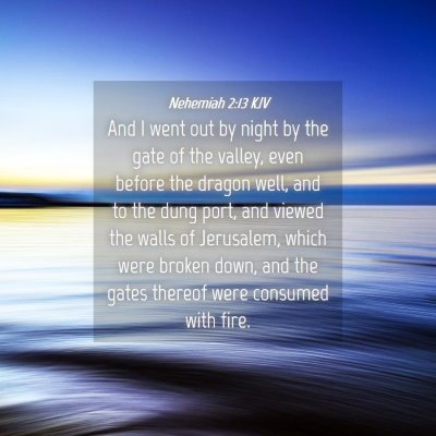 Picture 04 - Nehemiah 2:13 KJV - And I went out by night by the gate of the - Bible Verse Picture