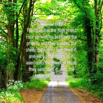 Picture 04 - Nehemiah 3:1 KJV - Then Eliashib the high priest rose up with his - Bible Verse Picture