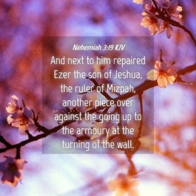 Picture 04 - Nehemiah 3:19 KJV - And next to him repaired Ezer the son of Jeshua, - Bible Verse Picture