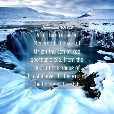 Picture 04 - Nehemiah 3:21 KJV - After him repaired Meremoth the son of Urijah the - Bible Verse Picture