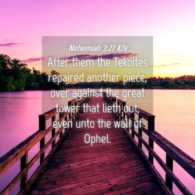 Picture 04 - Nehemiah 3:27 KJV - After them the Tekoites repaired another piece, - Bible Verse Picture