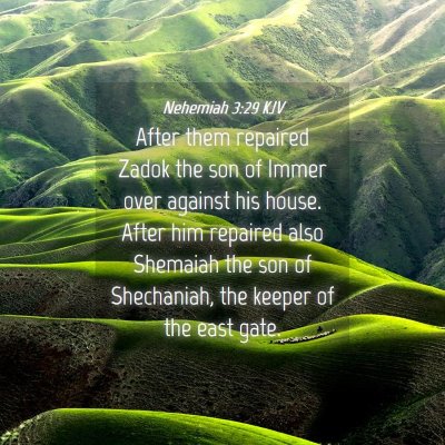 Picture 04 - Nehemiah 3:29 KJV - After them repaired Zadok the son of Immer over - Bible Verse Picture