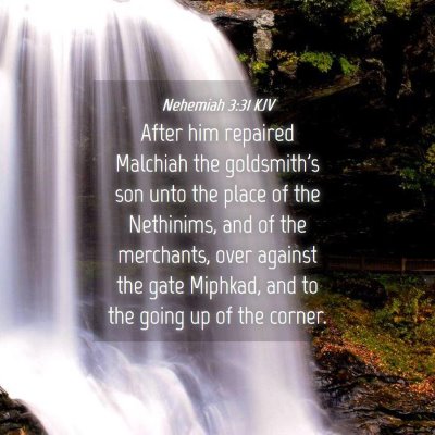 Picture 04 - Nehemiah 3:31 KJV - After him repaired Malchiah the goldsmith's son - Bible Verse Picture
