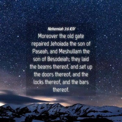Picture 04 - Nehemiah 3:6 KJV - Moreover the old gate repaired Jehoiada the son - Bible Verse Picture