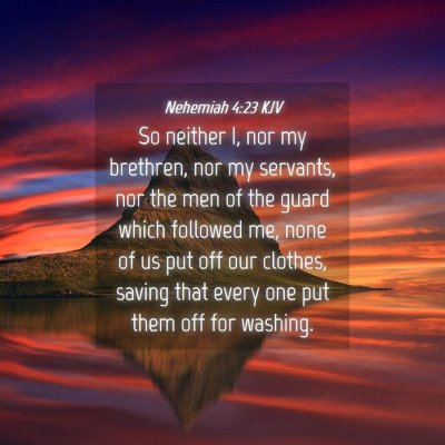 Picture 04 - Nehemiah 4:23 KJV - So neither I, nor my brethren, nor my servants, - Bible Verse Picture