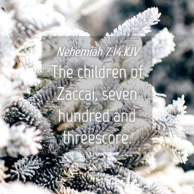Picture 04 - Nehemiah 7:14 KJV - The children of Zaccai, seven hundred and - Bible Verse Picture