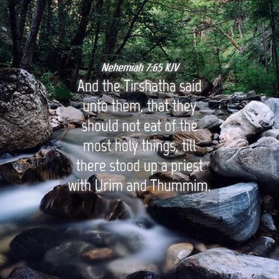 Picture 04 - Nehemiah 7:65 KJV - And the Tirshatha said unto them, that they - Bible Verse Picture